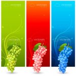 Colourful Vertical Banners with Matching Grape Bunches
